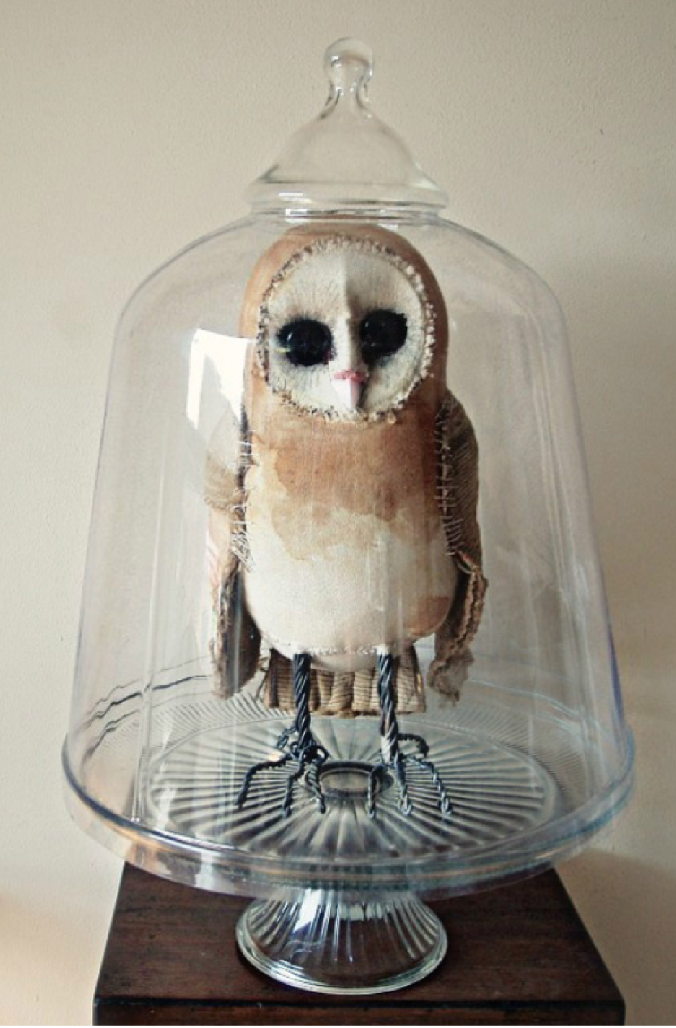 Owl by Mister Finch under a cloche.