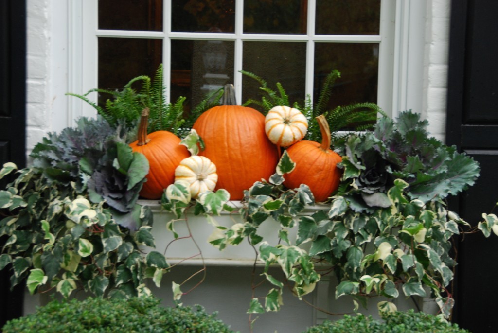 Pumpkins and ivy in gorgeous fall arrangement