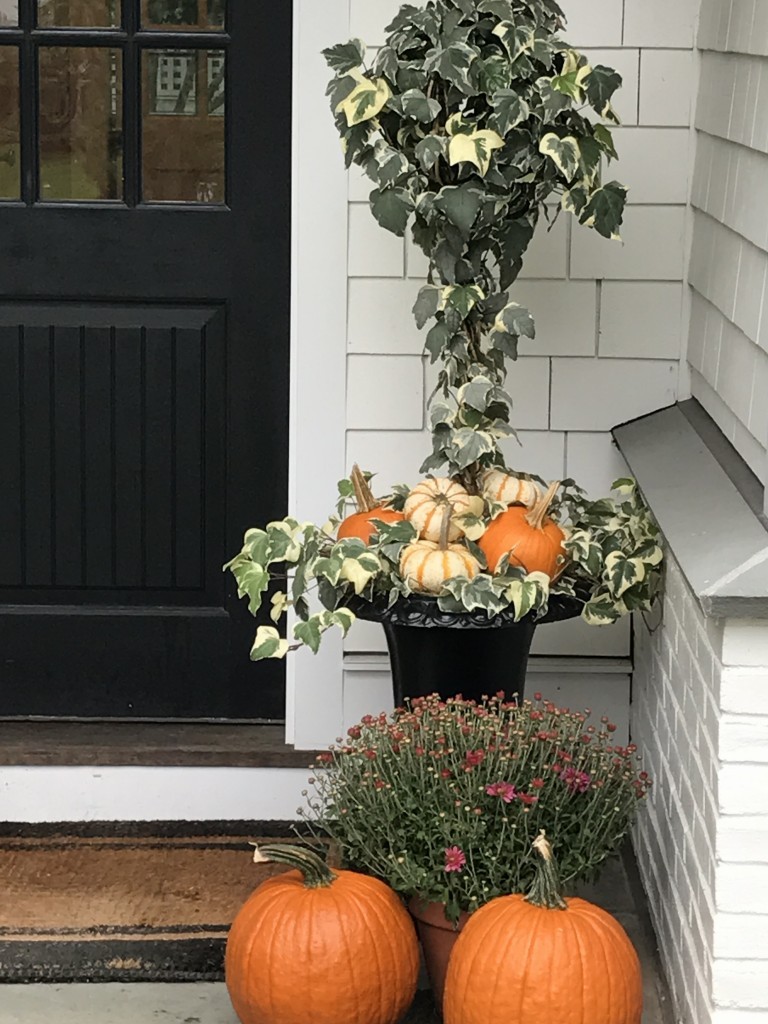 Fall window boxes with pumpkins, ivy, and ferns by Pretty Pink Tulips. CLICK OVER to say HELLO LOVELY to Pretty Pumpkin Decor and Recipes [in case you're ready to FALL in Love With Autumn].