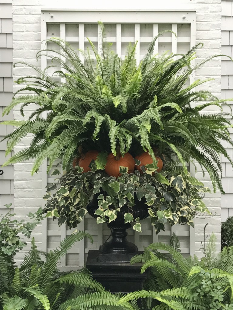 Gorgeous outdoor fall decor with fern, pumpkins, and ivy in urn