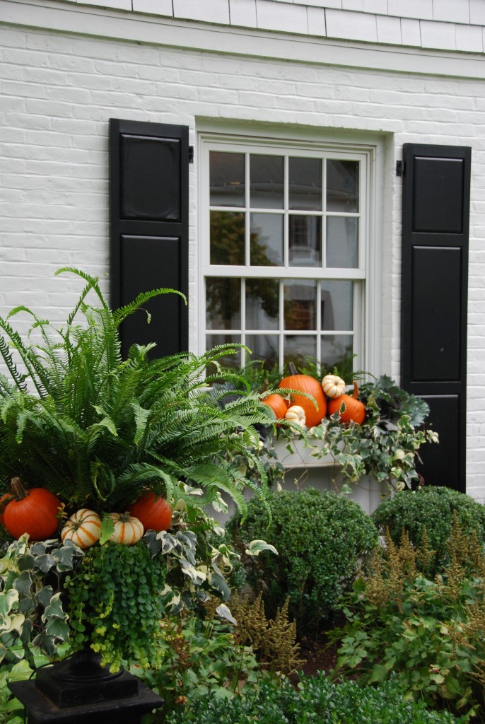 Gorgeous fall decor in a window box