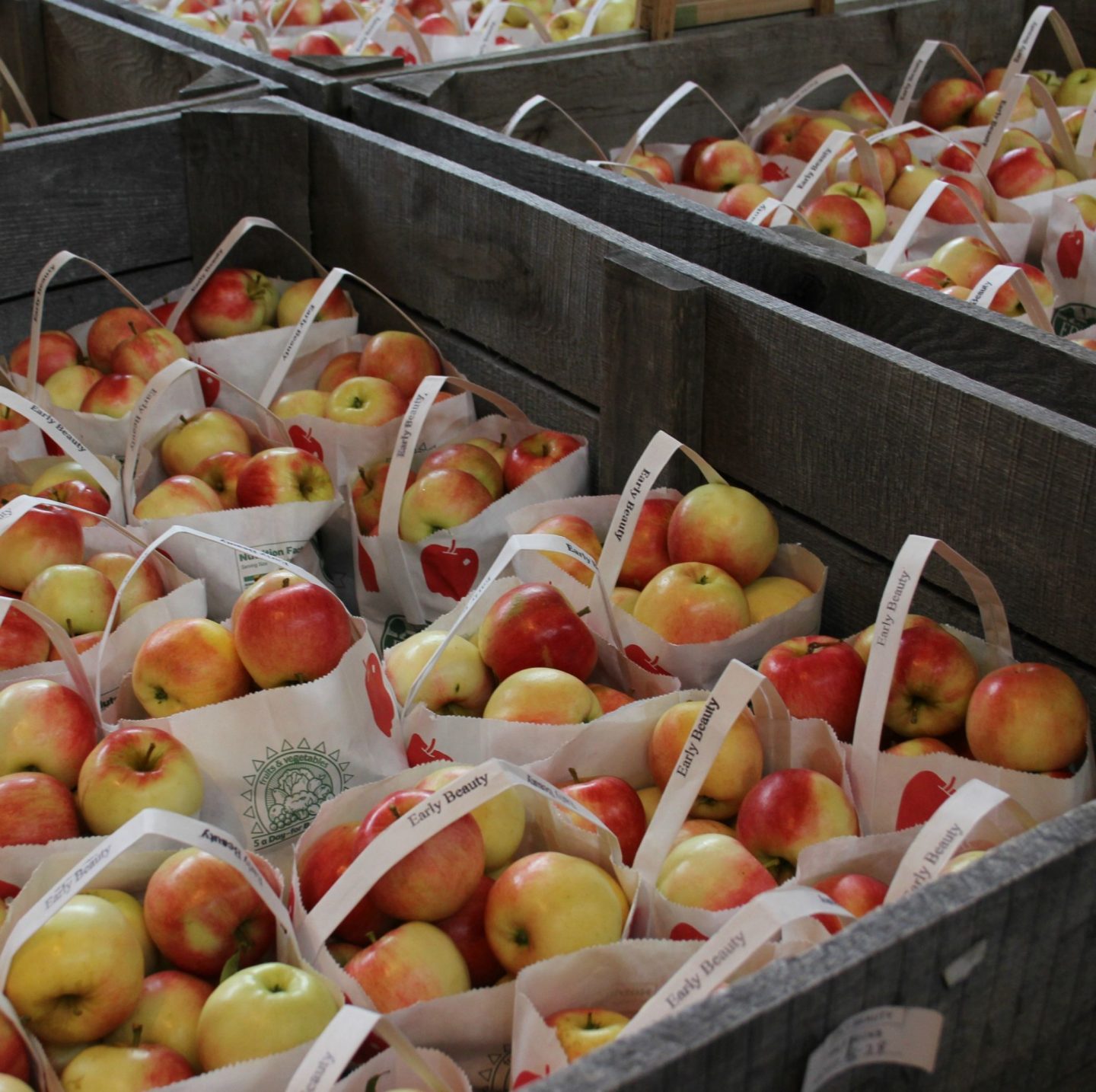 Early Beauty apples in bins at the apple orchard. Fall leaves and inspiration for savoring the season. Visit 9 Lovely Ways to Savor Autumn Beauty for more beauty from the avenues of Paris to the American prairie. #hellolovelystudio #fallinspiration #autumn #ideas