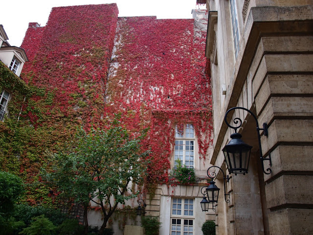 Climbing red vines on Pavillon De La Reine. Fall leaves and inspiration for savoring the season. Visit 9 Lovely Ways to Savor Autumn Beauty for more beauty from the avenues of Paris to the American prairie. #hellolovelystudio #fallinspiration #autumn #ideas