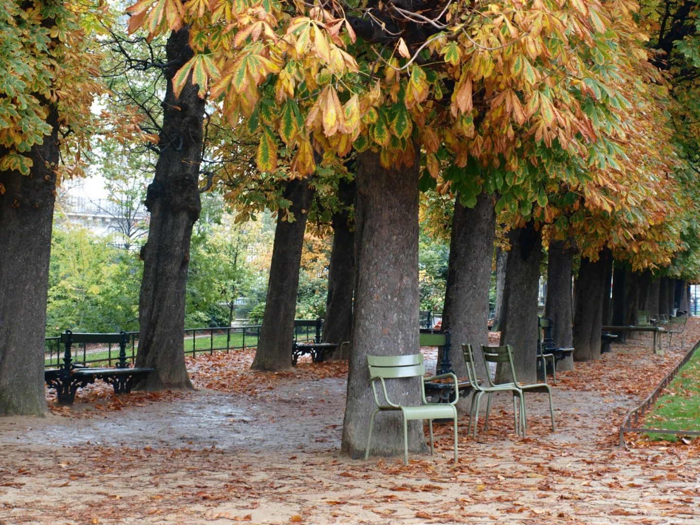 Jardin de Tuileries in Paris in the fall with golden leaves and green chairs