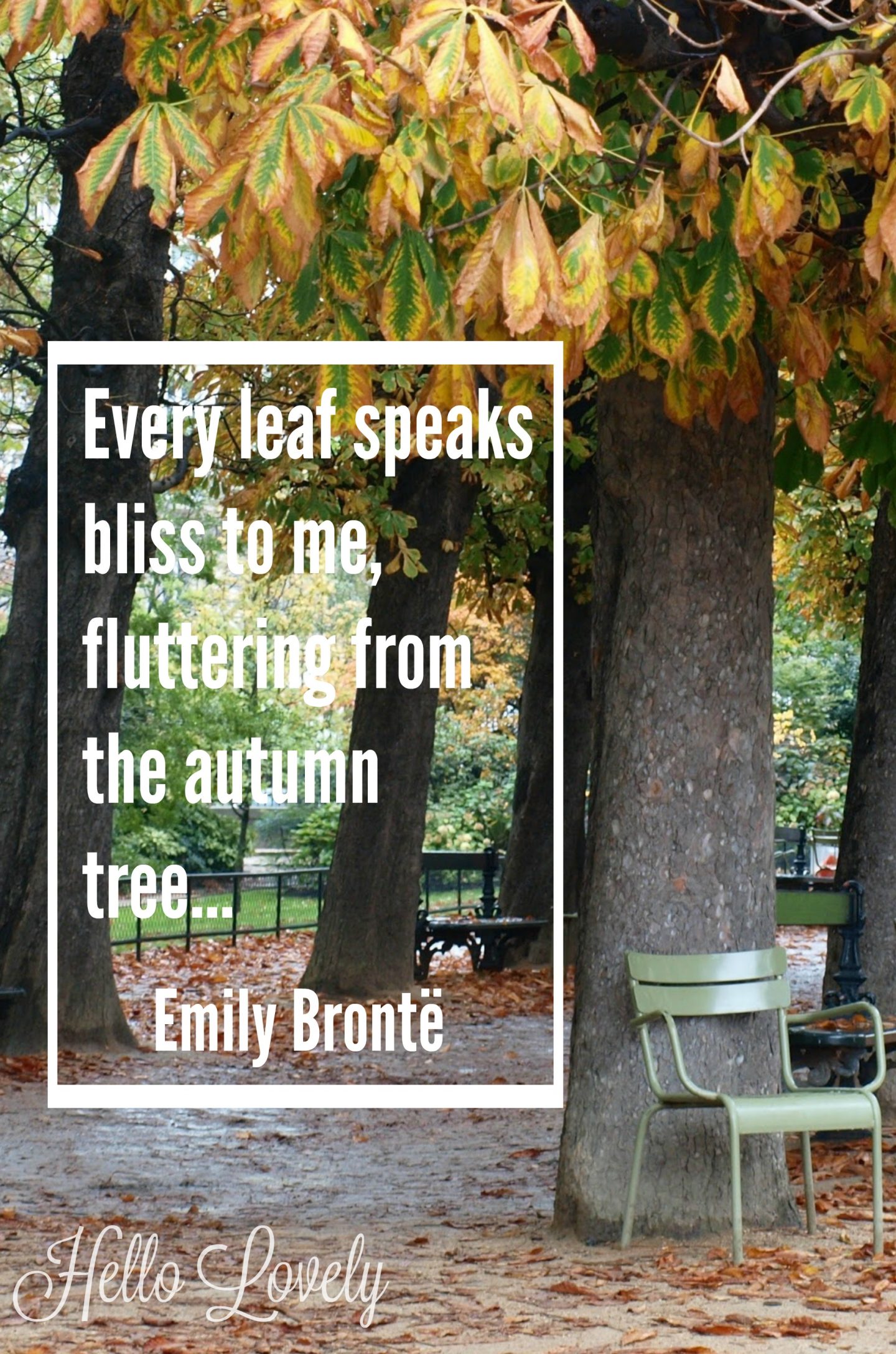 Inspiring autumn fall quote by Emily Bronte and photo of Paris garden by Hello Lovely Studio. Rustic Farmhouse Fall Decor Inspiration Photos, Autumn Quotes & You Can Call Me Pumpkin. #quote #hellolovelystudio #emilybronte #fallinspiration