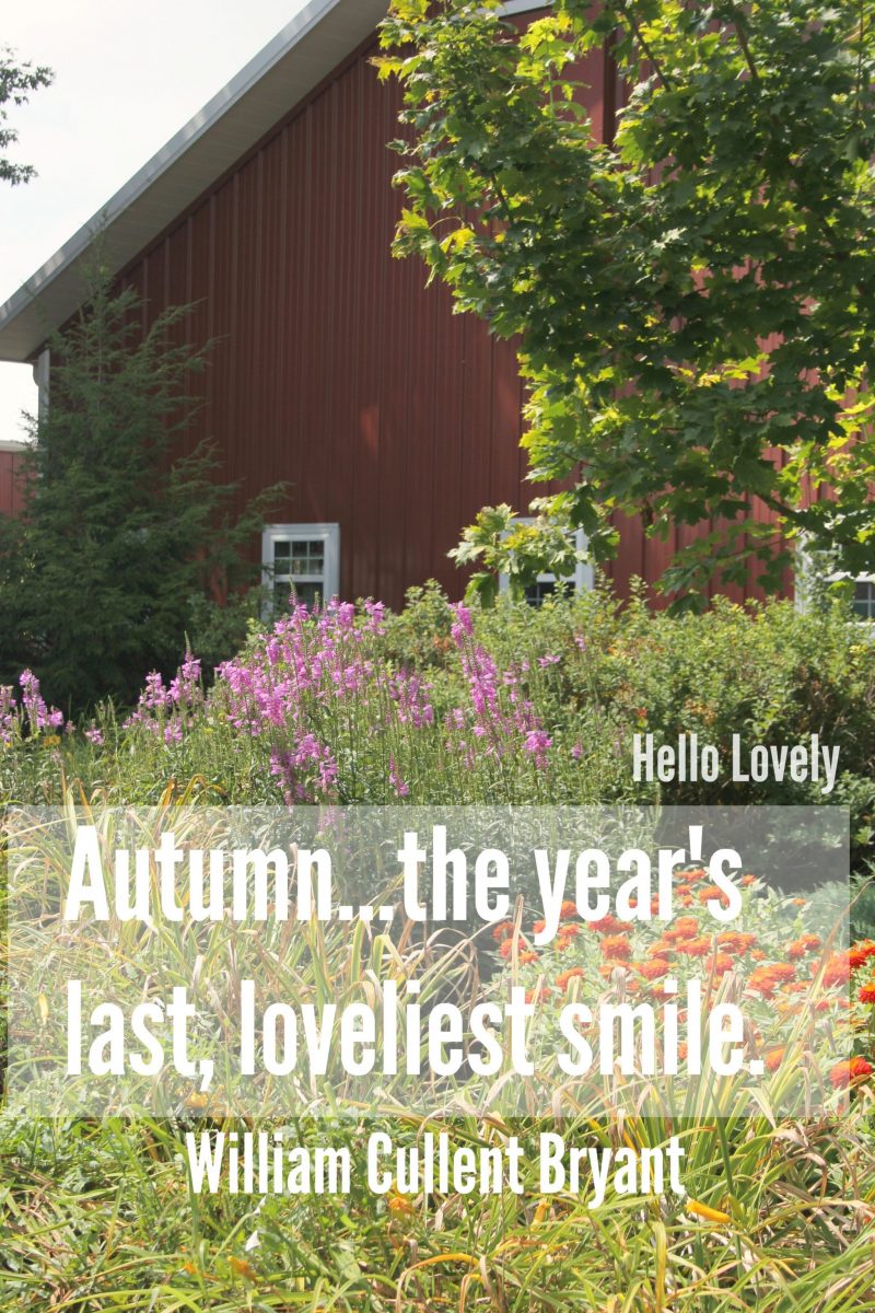 Quote about autumn and red barn by 
Hello Lovely Studio