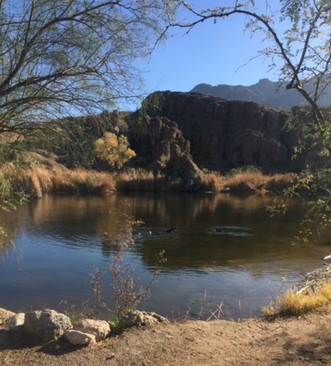 Pond in the Arizona desert - Hello Lovely Studio.