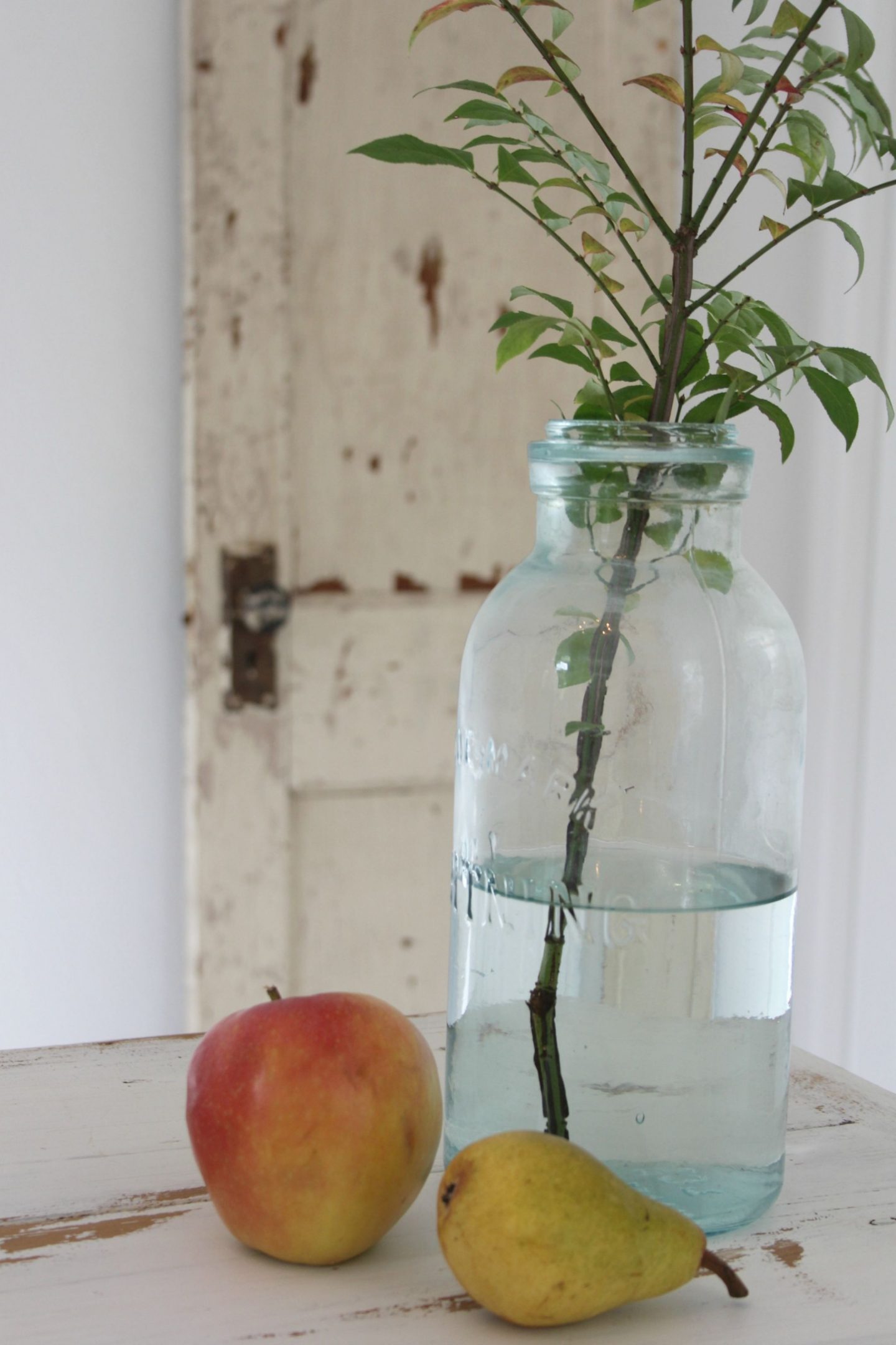 Still life with vintage door, apple, pear, and aqua bottle with branch by Hello Lovely Studio.