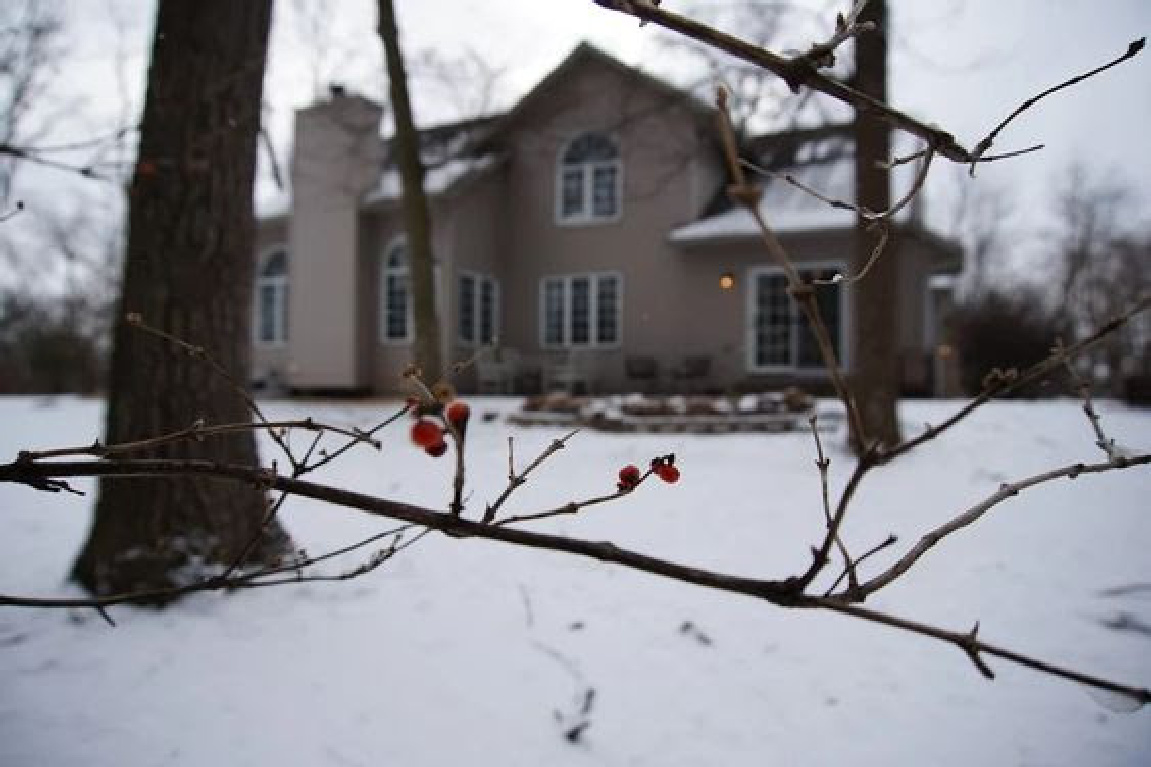 Our backyard in winter - Hello Lovely Studio. #hellolovelystudio
