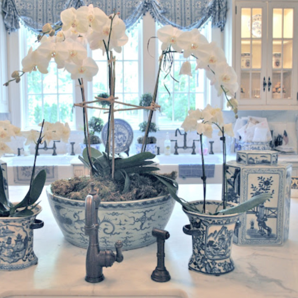 Blue and white porcelain with orchids from The Enchanted Home Shop.