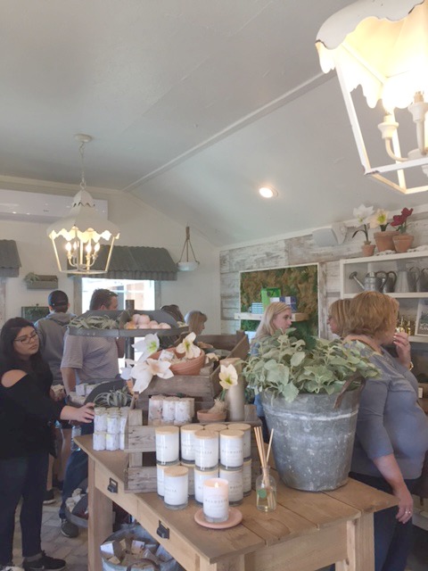 Magnolia Garden Seed & Supply at the Silos in Waco, Texas. Oversized farmhouse style white lantern pendant lights hang over rustic wood tables with garden decor. #magnoliamarket #fixerupper #garden #silos #lantern