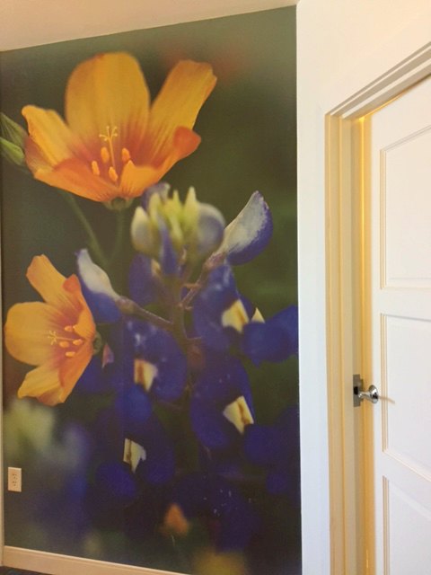 Interior of Hotel Indigo Waco room with colorful floral mural on wall near bathroom. #hotelindigo #mural #waco #photo