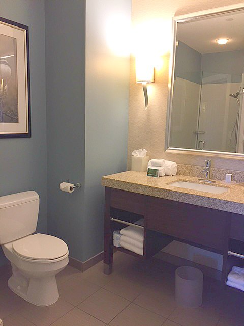 Bathroom at Hotel Indigo Waco with blue walls, granite topped vanity, and romantic wall sconce lighting. #hotelindigo #waco #bathroom #decor