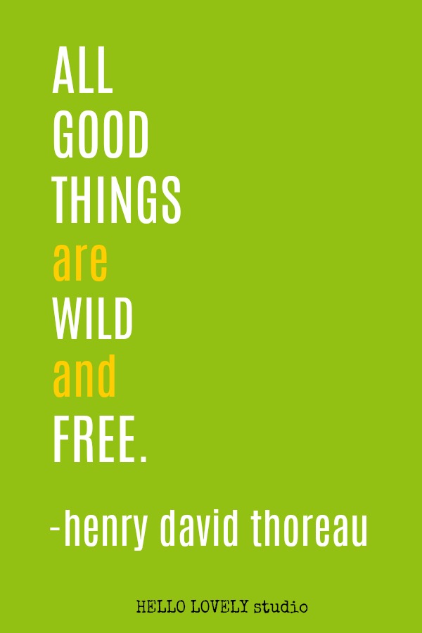 Inspirational quote by Thoreau on Hello Lovely Studio.