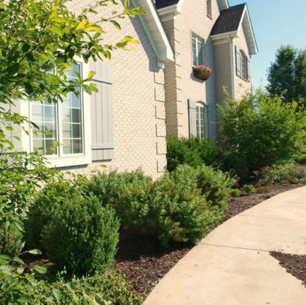 Exterior of our French country home with custom shutters made by us. Design: Hello Lovely Studio. 