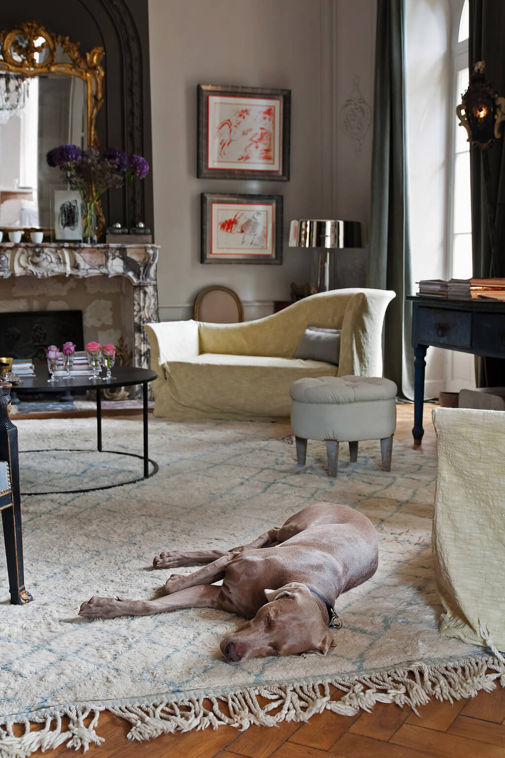 Salon in an Avignon mansion with a sleeping dog. Come see a Breathtaking French Château Tour in Provence With Photo Gallery of Historical Architecture, Dramatic Eclectic Interiors & Oddities!