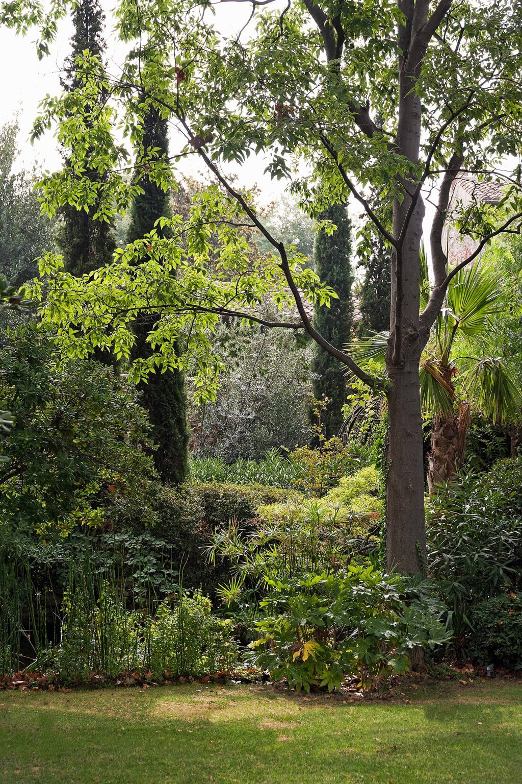 Beautiful French country garden inspiration from a luxurious property in the South of France. Breathtaking 19th century restored French chateau with largest private garden in Avignon. Avignon Hôtel Particulier. Photo: Haven In.