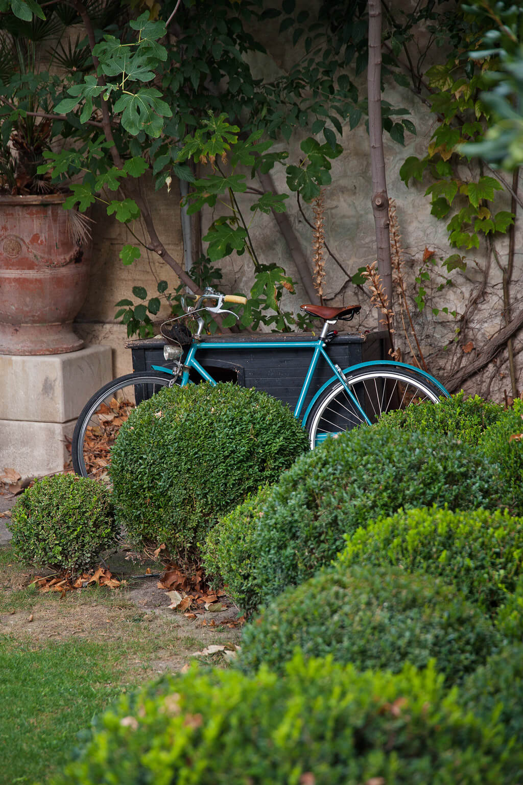 Beautiful French country garden inspiration from a luxurious property in the South of France. Breathtaking 19th century restored French chateau with largest private garden in Avignon. Avignon Hôtel Particulier. Photo: Haven In.