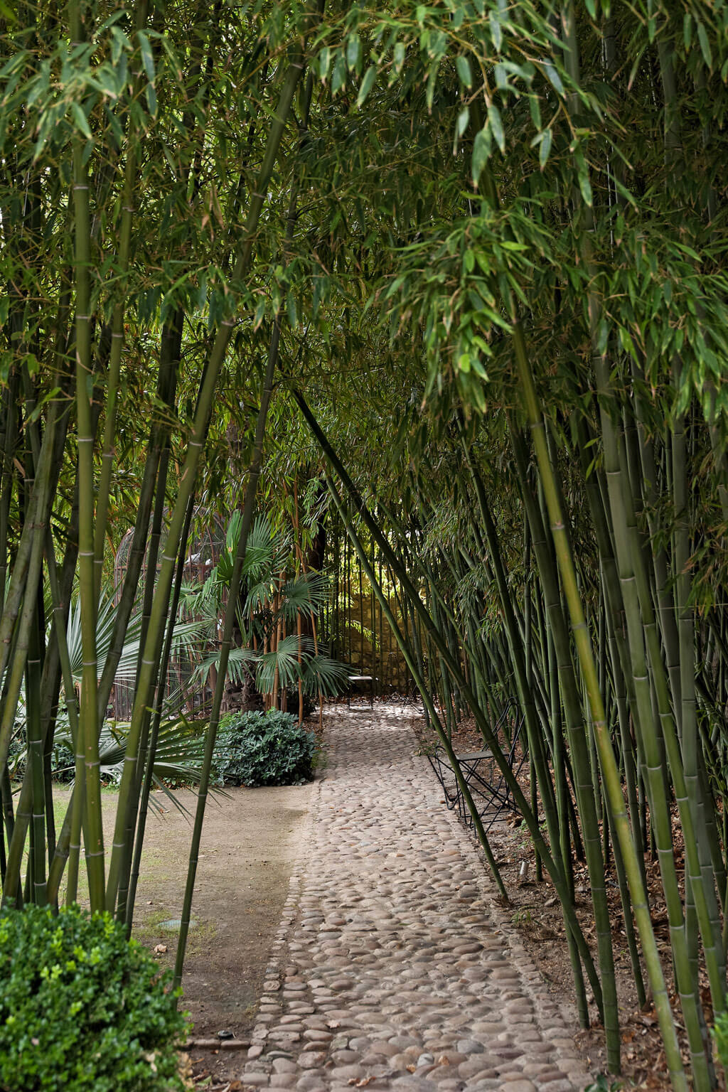 Beautiful French country garden inspiration from a luxurious property in the South of France. Breathtaking 19th century restored French chateau with largest private garden in Avignon. Avignon Hôtel Particulier. Photo: Haven In.