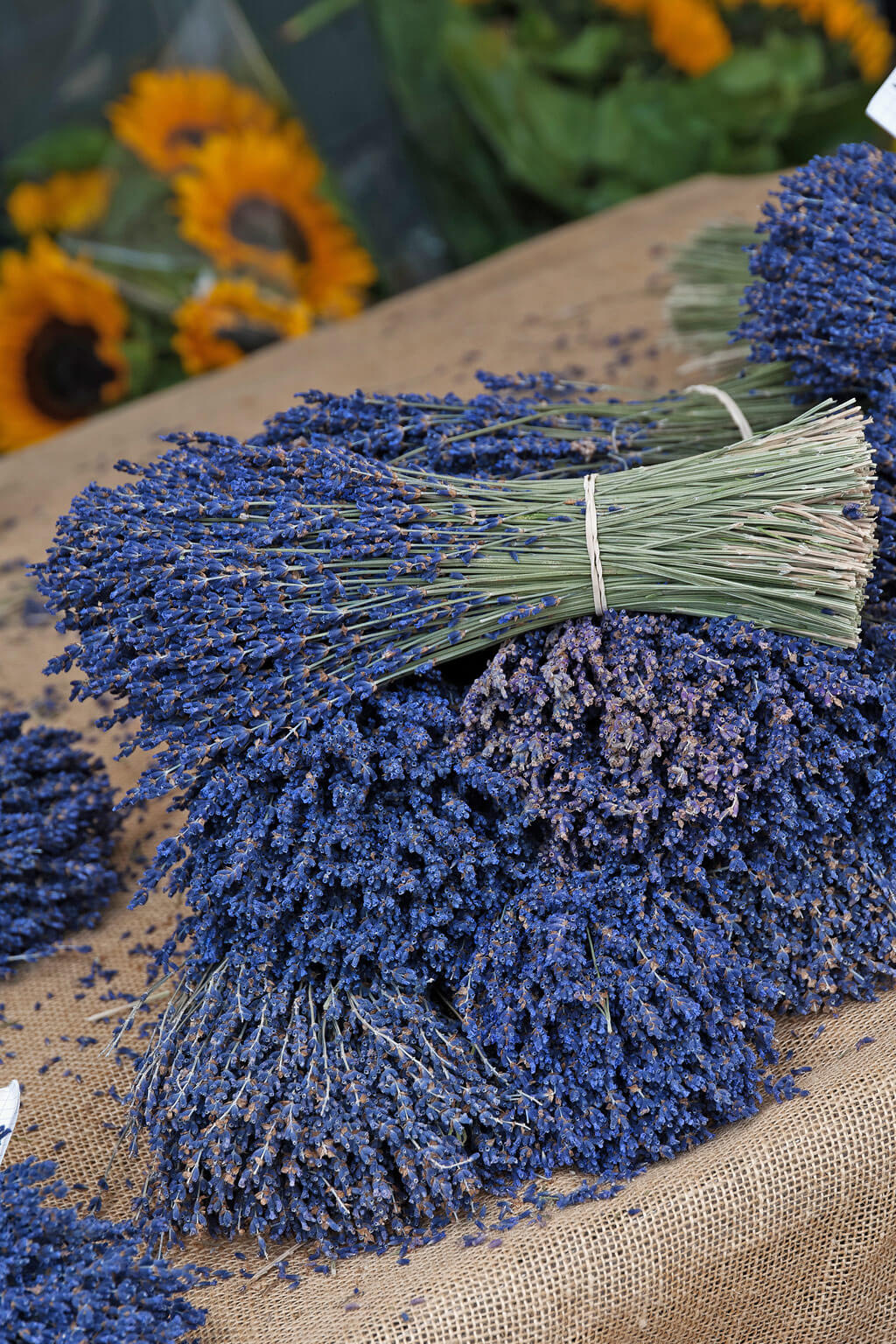 French lavender in the South of France countryside. #frenchcountry #lavender #provence #southoffrance