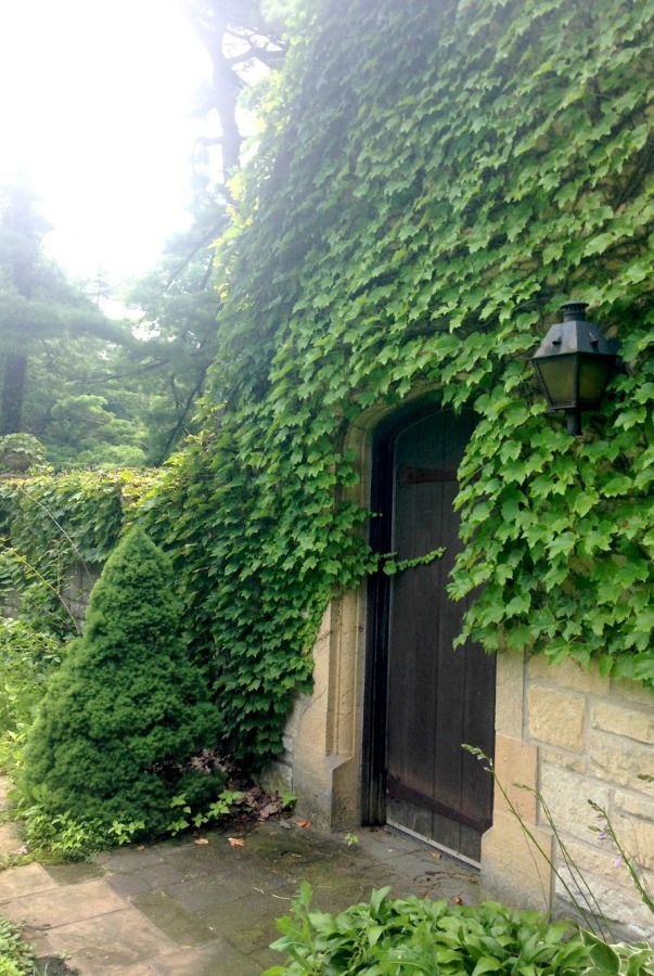 Ivy overgrown on a stone French country cottage. Hello Lovely Studio. #frenchcountry #frenchcottage #ivy #frenchfarmhouse #hellolovelystudio #stonecottage