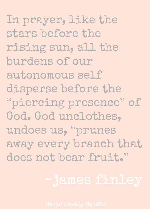 IN PRAYER, LIKE THE STARS BEFORE THE RISING SUN, ALL THE BURDENS OF OUR AUTONOMOUS SELF DISPERSE BEFORE THE 'PIERCING PRESENCE' OF GOD. GOD UNCLOTHES, UNDOES US, 'PRUNES AWAY EVERY BRANCH THAT DOES NOT BEAR FRUIT.' (James Finley) #quote #jamesfinley #prayer #faith #spiritualformation