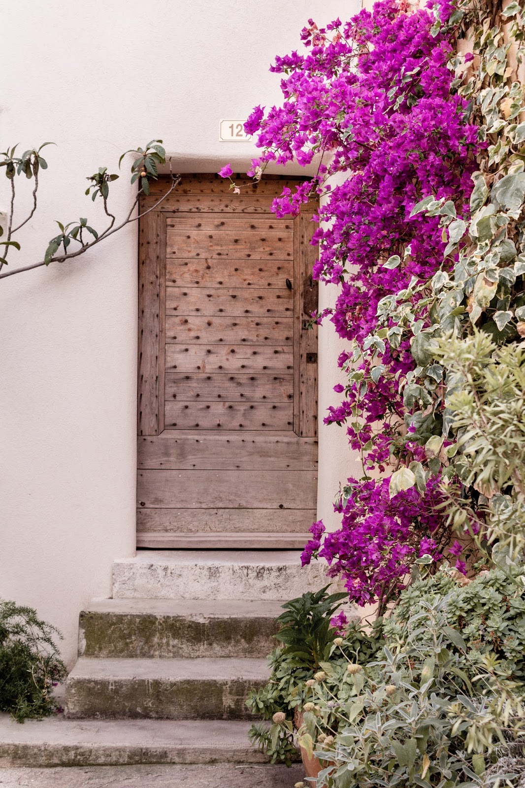 Provence as Seen by (and with!) Martine Bertin-Peterson