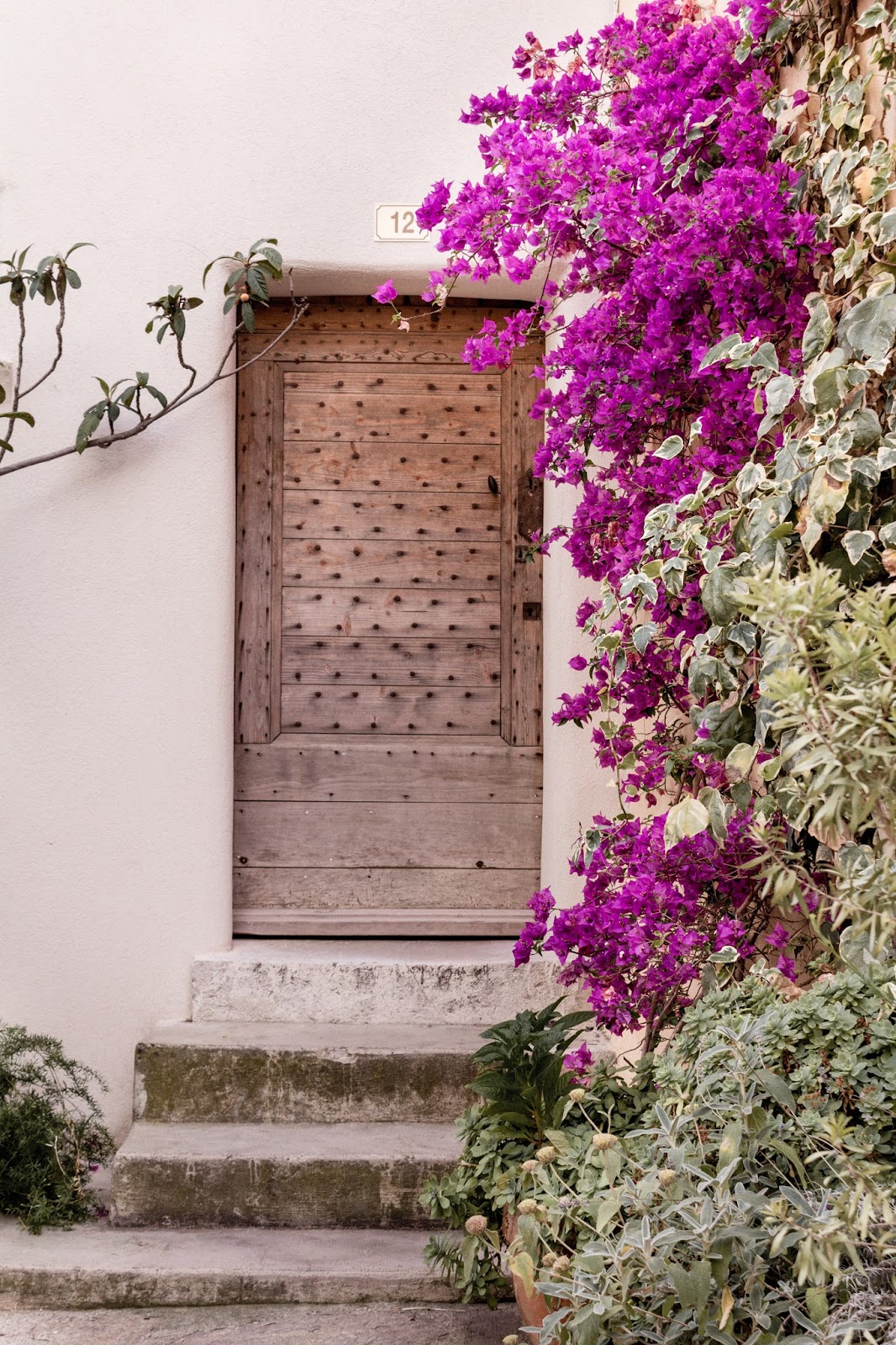 Rustic French Country Doors in Provence and gorgeous curb appeal with climbing vines, crumbling stone, and weathered age. Photo: The Flying Dutchwoman. #provence #southoffrance #exteriors #weathereddoors #rusticdoor #frenchcountryside #summerinfrance #frenchcountry #frenchfarmhouse #frontdoor #sttropez