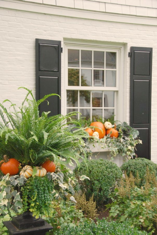 Autumn Decor Inspiration From Elizabeth/Pretty Pink Tulips. Easy ideas for adding fall wonder to your porch, planters, and window boxes. Certainly lovely indeed!