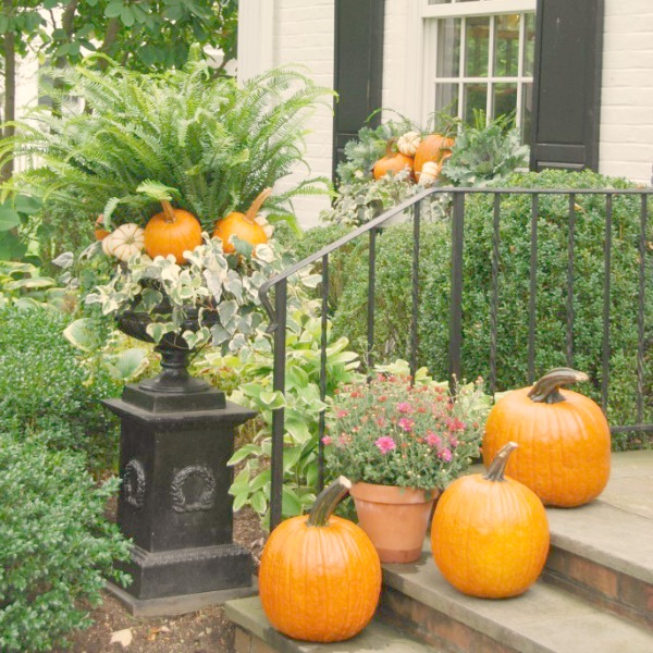 Mums, pumpkins, and an urn layered with greenery and vegetation. #falldecor #outdoordecor #frontporch