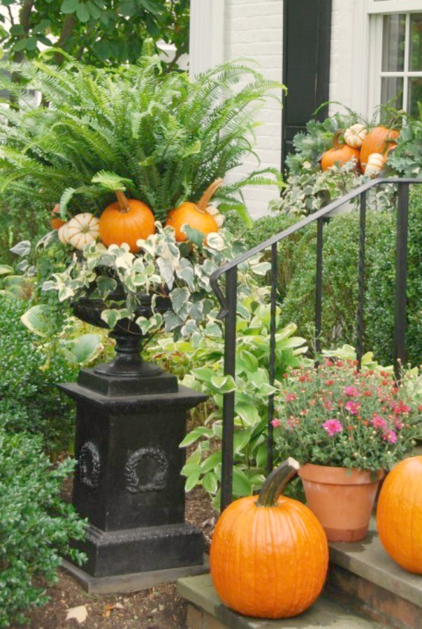 Autumn pumpkins and front porch decor with ferns and mums. Photo: Elizabeth of PPT. #fall #outdoordecor #frontporch #pumpkins #ferns