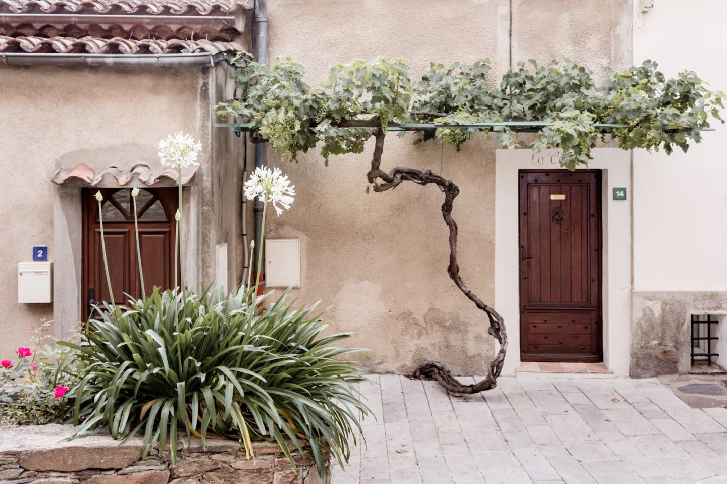 Rustic French Country Doors in Provence and gorgeous curb appeal with climbing vines, crumbling stone, and weathered age. Photo: The Flying Dutchwoman. #provence #southoffrance #exteriors #weathereddoors #rusticdoor #frenchcountryside #summerinfrance #frenchcountry #frenchfarmhouse #frontdoor #sttropez