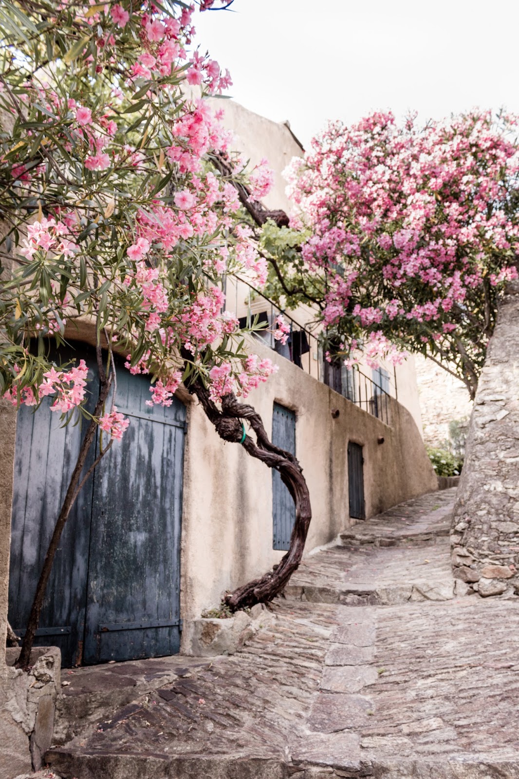 Rustic French Country Doors in Provence and gorgeous curb appeal with climbing vines, crumbling stone, and weathered age. Photo: The Flying Dutchwoman. #provence #southoffrance #exteriors #weathereddoors #rusticdoor #frenchcountryside #summerinfrance #frenchcountry #frenchfarmhouse #frontdoor #sttropez