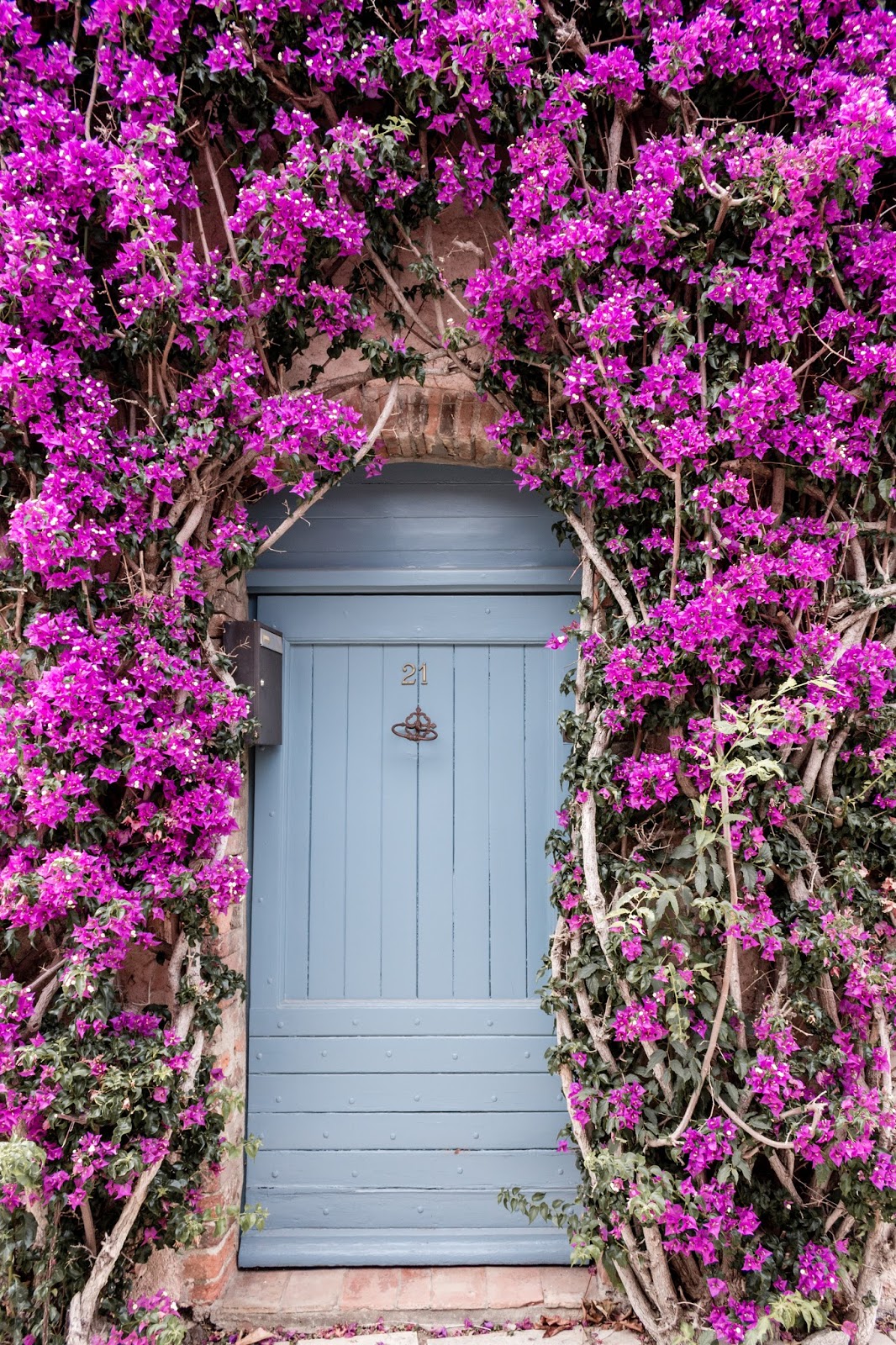 Rustic French Country Doors in Provence and gorgeous curb appeal with purple-pink blooming vines, crumbling stone, and weathered age. Photo: The Flying Dutchwoman.