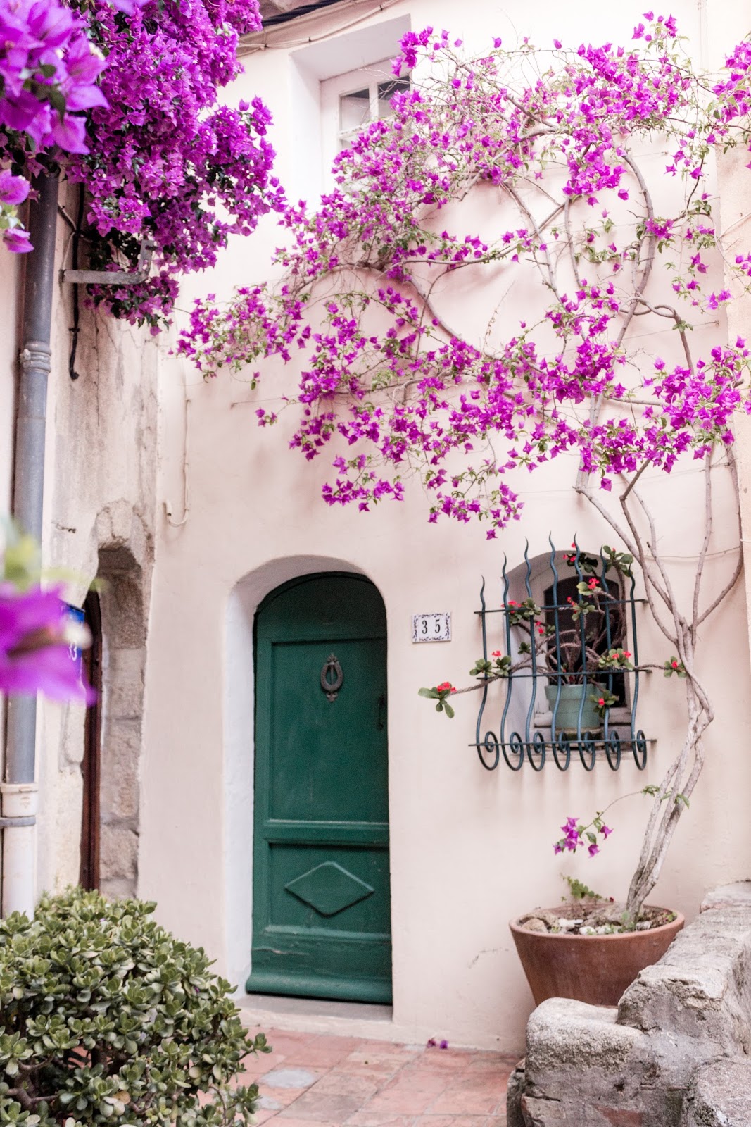 French country exterior with bold pink climbing vines and arched teal door. Photo: The Flying Dutchwoman. #frenchcountry #exterior #stucco #archeddoor #fuschia #brightpink #southoffrance #provence