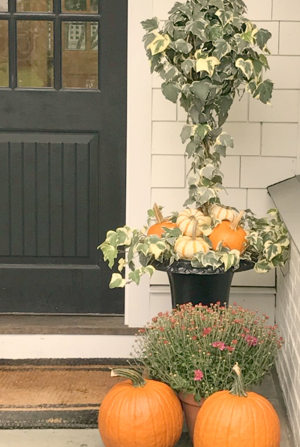 Autumn Decor Inspiration From Elizabeth/Pretty Pink Tulips. Easy ideas for adding fall wonder to your porch, planters, and window boxes. Certainly lovely indeed! #topiary #fall #outdoor #inspiration