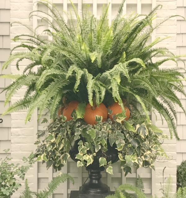 Classic fall topiary created with fern, pumpkin, and ivy. #fall #outdoordecor #planter