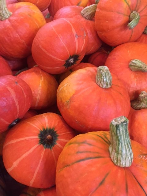 Bright orange pumpkins. Fall leaves and inspiration for savoring the season. Visit 9 Lovely Ways to Savor Autumn Beauty for more beauty from the avenues of Paris to the American prairie. #hellolovelystudio #fallinspiration #autumn #ideas