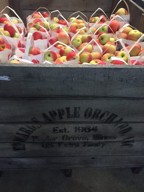 Crate of apples at the orchard. Hello Lovely Studio. Gentle Nudges to Eat More Plants for Wellness.