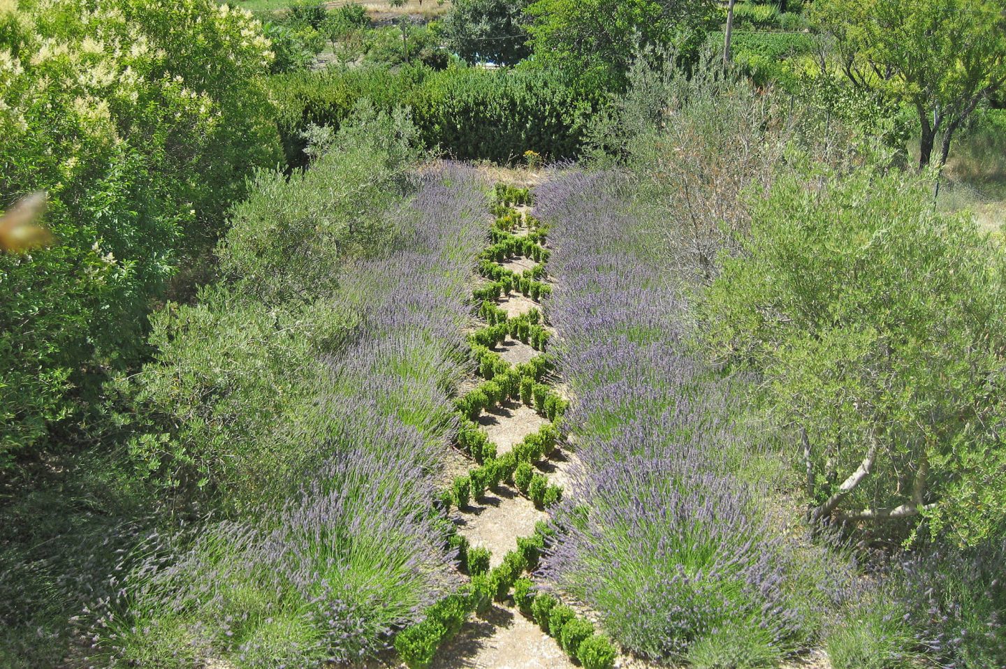 Provence retreat! Inspiring French country interiors, enchanting gardens, and rich architectural details in a historical and luxurious vacation rental from HAVEN IN. #provence #frenchchateau #frenchcountry #frenchfarmhouse #interiordesign #architecture #european #counrtryhouse #havenin #rusticelegance