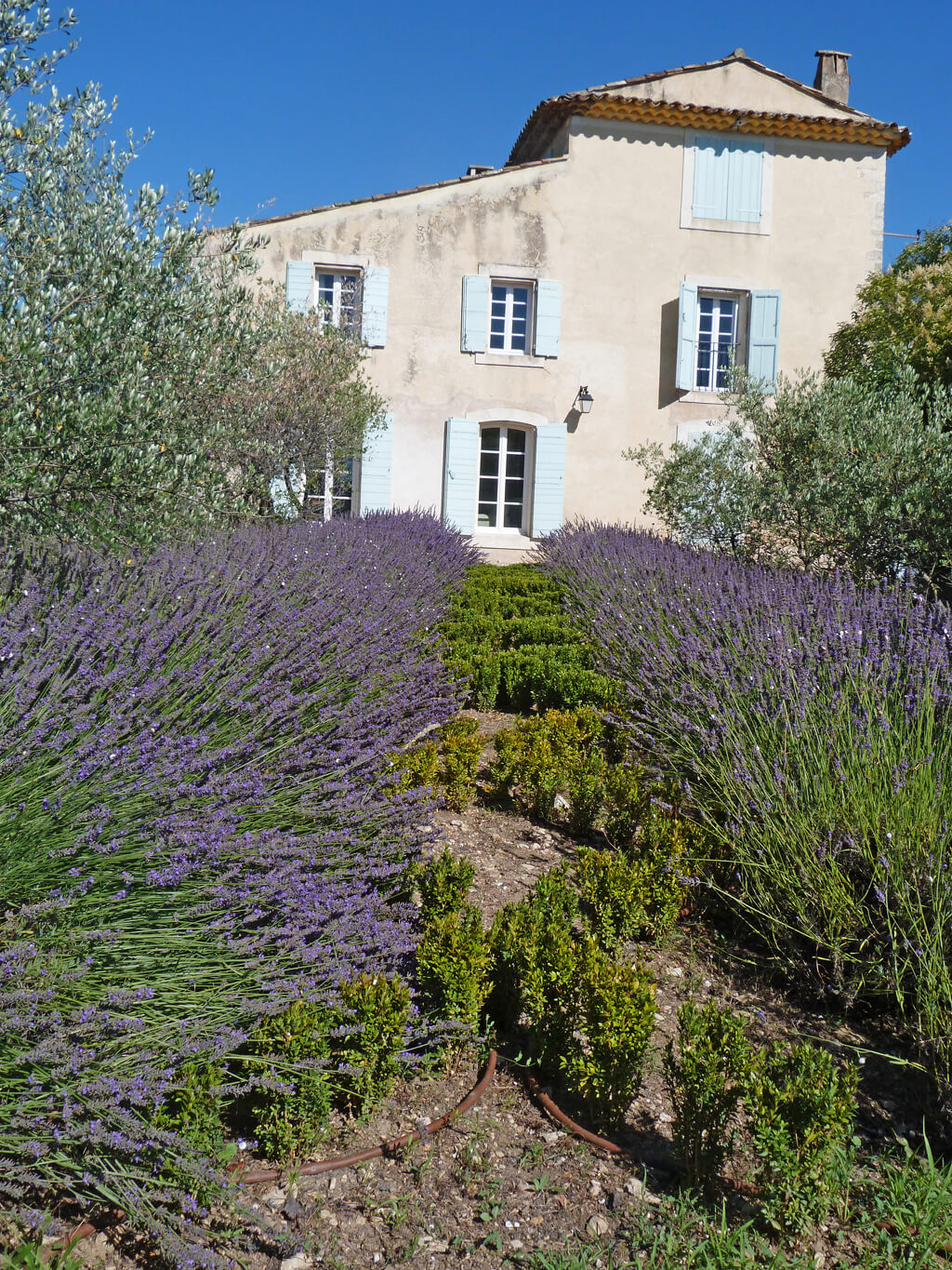 Beautiful French country house in Provence. Come tour Provence Villa St-Saturnin: Timeless & Tranquil Design...the interiors have authentic and classic French style and this luxury vacation rental can be booked through Haven In. #frenchcountry #houseinfrance #bastide #frenchfarmhouse #housetour #provence #provencal #havenin #europeancountry