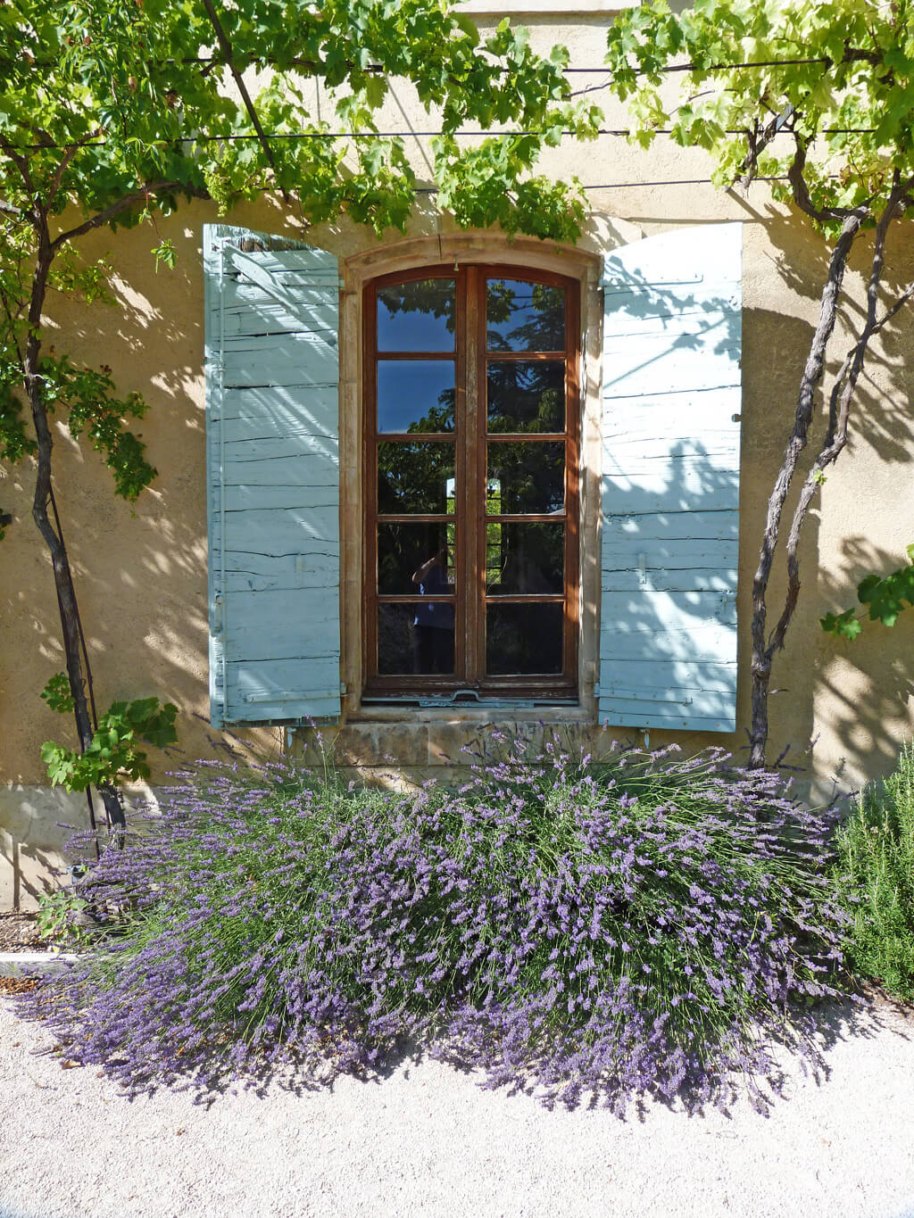 French farmhouse exterior with beautiful green shutters.