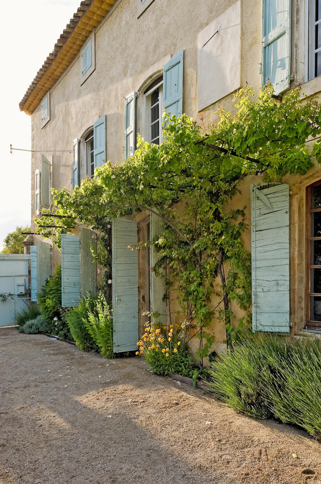 Provence house exterior with pale green shutters and sunny stucco - Haven In.