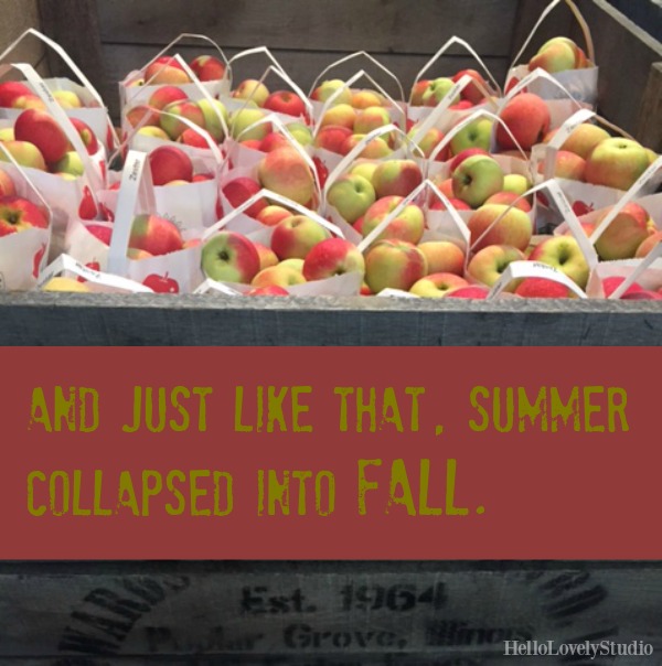 AND JUST LIKE THAT, SUMMER COLLAPSED INTO FALL. Hello Lovely Studio. #hellolovelystudio #apples #fall #quote #fallsaying #autumn