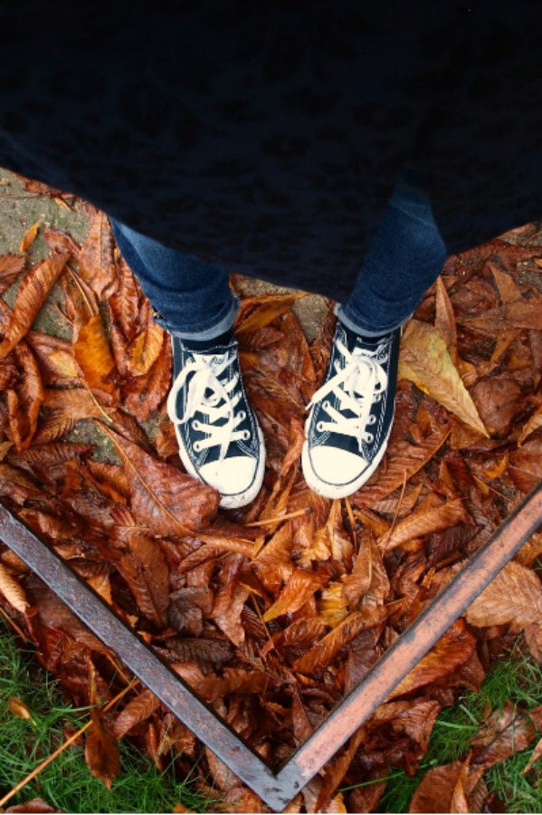 Black Converse in red fallen leaves in Paris 2012. Hello Lovely Studio.