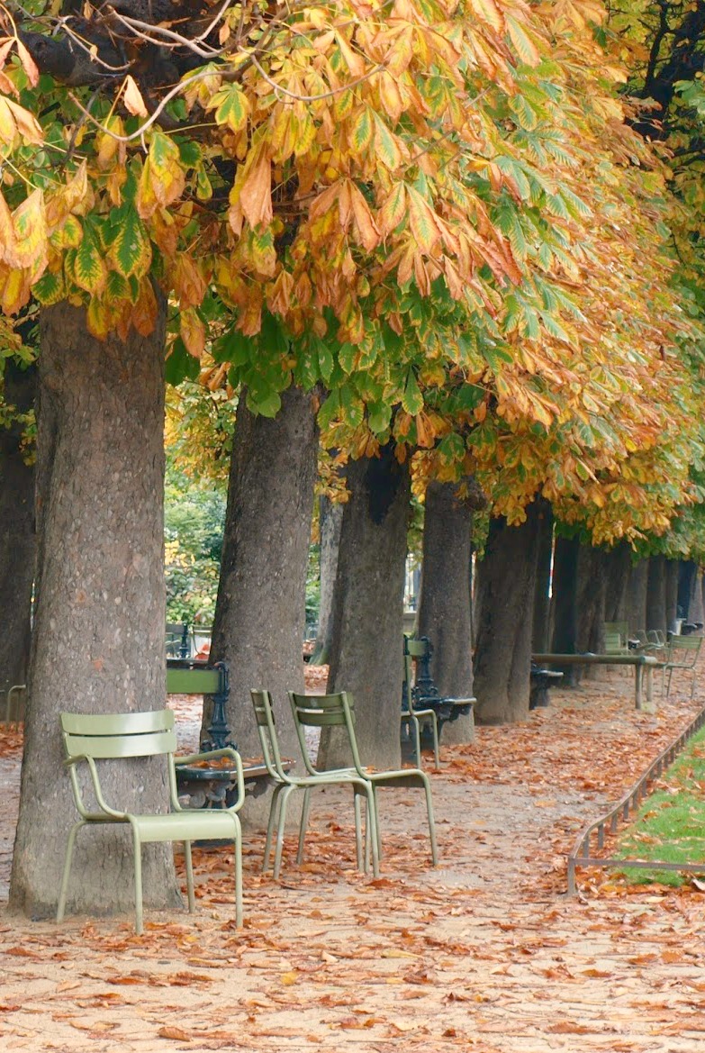 Paris park in fall. Fall leaves and inspiration for savoring the season. Visit 9 Lovely Ways to Savor Autumn Beauty for more beauty from the avenues of Paris to the American prairie. #hellolovelystudio #fallinspiration #autumn #ideas