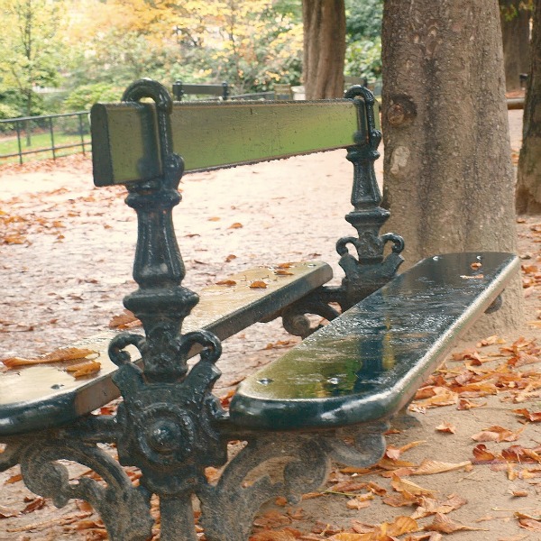 Paris park bench in the rain with fallen leaves. Fall leaves and inspiration for savoring the season. Visit 9 Lovely Ways to Savor Autumn Beauty for more beauty from the avenues of Paris to the American prairie. #hellolovelystudio #fallinspiration #autumn #ideas