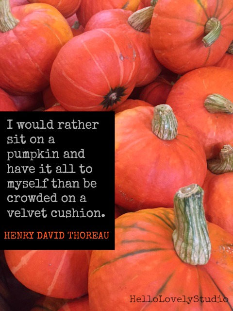 Thoreau quote. I WOULD RATHER SIT ON A PUMPKIN AND HAVE IT ALL TO MYSELF THAN BE CROWDED ON A VELVET CUSHION. Henry David Thoreau. Photo: Hello Lovely Studio. #hellolovelystudio #pumpkins #fall #quote #fallsaying #thoreau #henrydavidthoreau #autumn