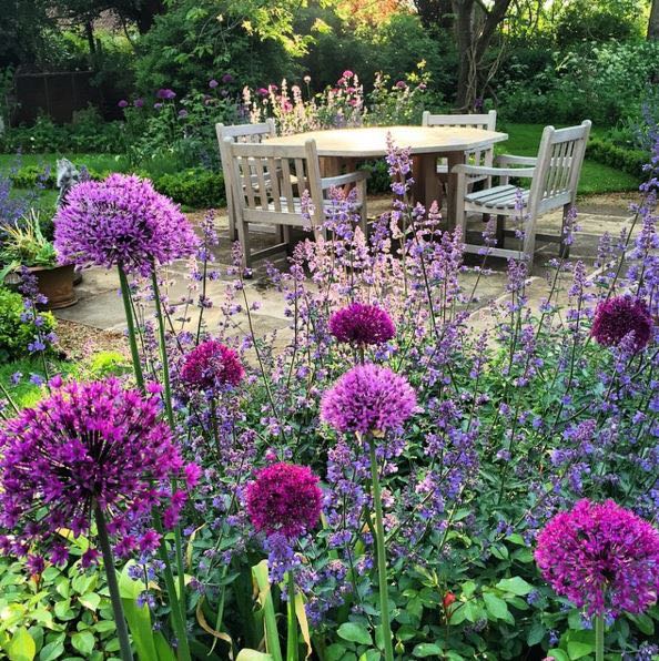 Beautiful magenta blooms in an English garden. The Beach Studios. Atlanta Bartlett and Dave Coote.