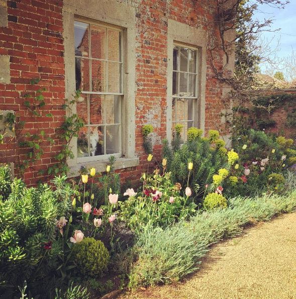 Storybook charm and lovely English Country House Exterior inspiration describe this lovely cottage exterior and gardens. The Beach Studios. Atlanta Bartlett. #Englishcottage #houseexterior #curbappeal #countryhouse #wisteria #rustic #Europeancountry #Englishcountry #cottagestyle